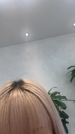 ポイントケアスティックの記事動画