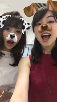 ワン・ワン・ワーンの記事動画