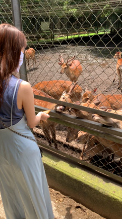 千葉と茨城の記事動画