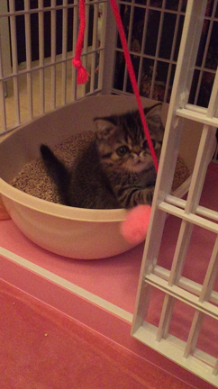 ロマン動画第2弾❤️の記事動画