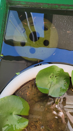 湿度が…の記事動画