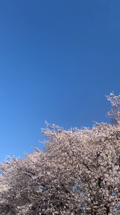 自問自答の記事動画