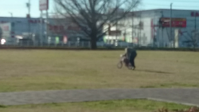 元旦。の記事動画