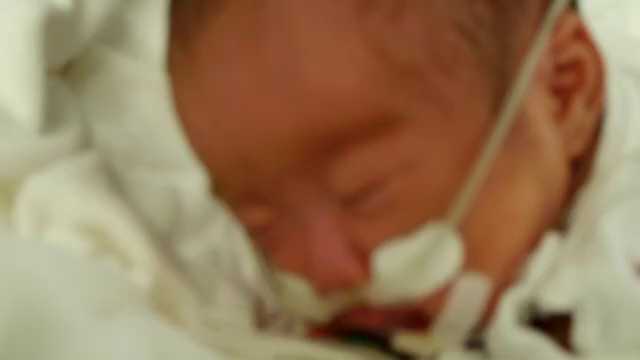 GCU11日目　翌日には生後3ヶ月の記事動画