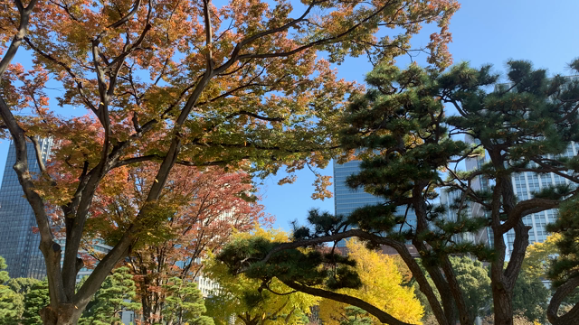 キレイ東京の記事動画