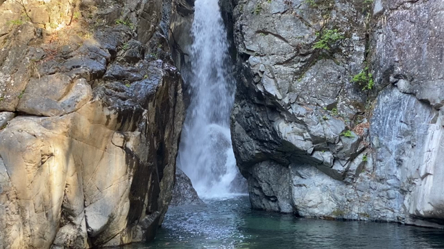 龍神様が現れました！幸せを運んでくれる動画、画像です。の記事動画