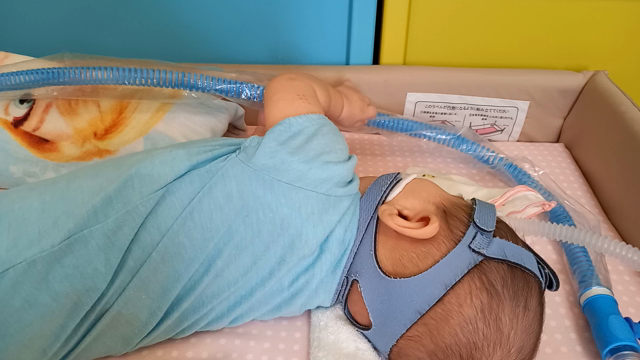 グズり時の行動が可愛いの記事動画