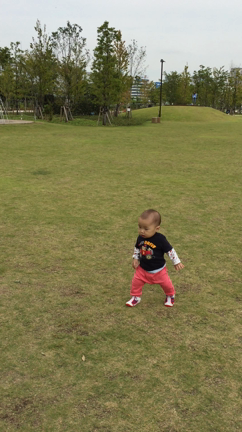 公園の記事動画