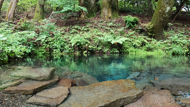 大樹亞九重十《本ゲート》十重九亞樹大の記事動画