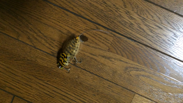 釣具購入の記事動画