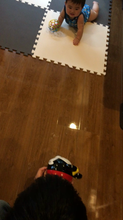 ハイハイの練習のはずが…の記事動画