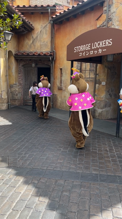 チデグリ＆クラリスグリの記事動画