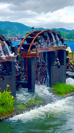 ☆山奧だけど 大人気なんです❣️動画有り(^^)の記事動画