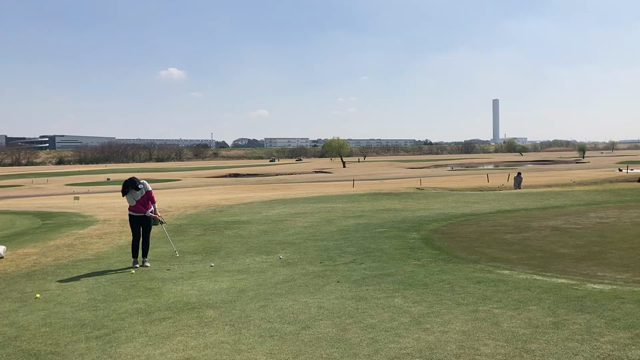 1y刻みのキャリーコントロールの記事動画