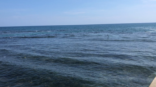 海〜の記事動画