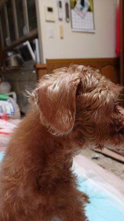 小さな奇跡であり大きな奇跡⑱番外編☆の記事動画