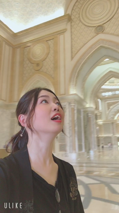 アブダビ観光レポ＊カスルアルワタン♡の記事動画