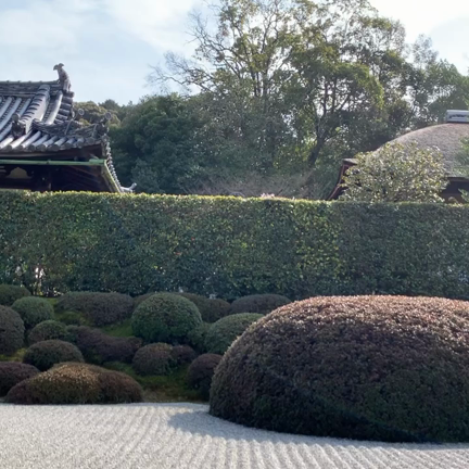 クライシスサイコロジーが大切な理由の記事動画