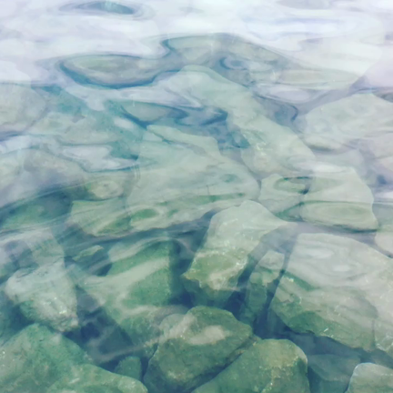 メンバー紹介の記事動画