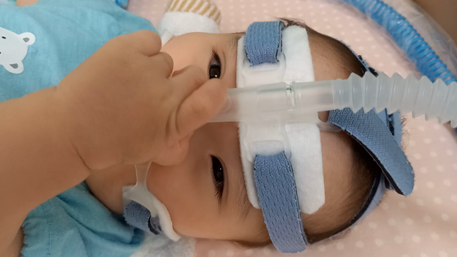 今は秋なのか？の記事動画