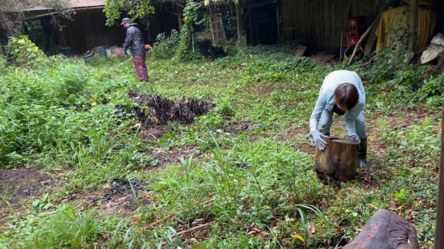 お庭が綺麗になったよ！！の記事動画