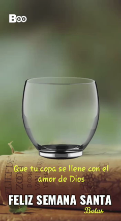 Shalom シャロームの記事動画