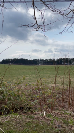 優しさに癒される函館の記事動画