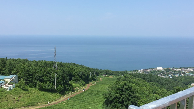 ゆり以外の楽しみ(^_^)フラワーリフトと新設展望台の記事動画