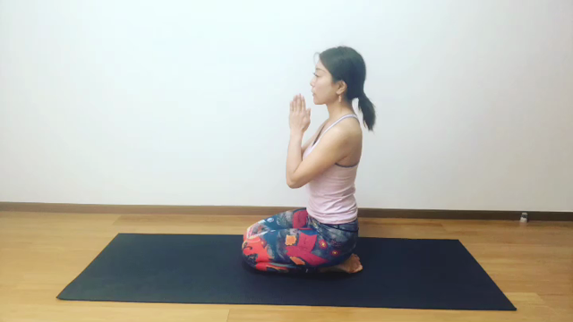 【日頃のヨーガ】の記事動画