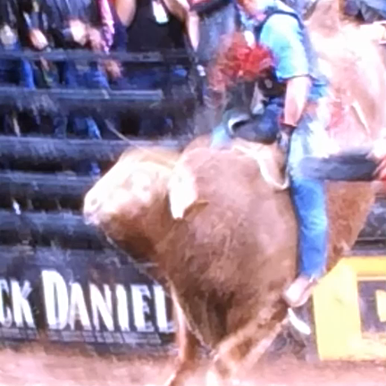 ニューヨークで初めてロデオを見たの記事動画