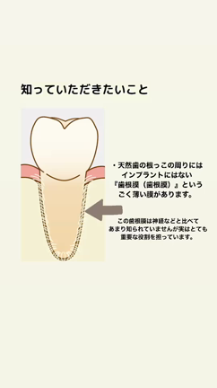 1周年！で〇〇な事の記事動画