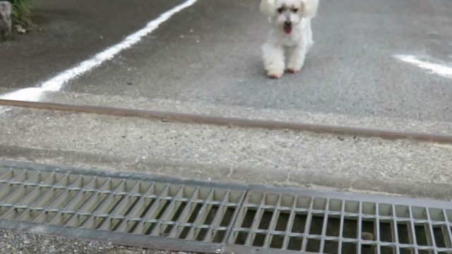 元気の贈り物の記事動画