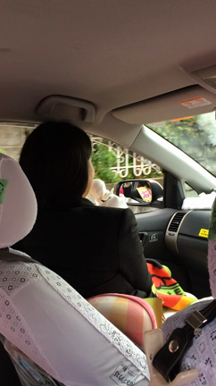 五月が丘にての記事動画