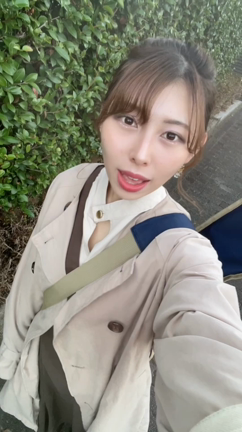 【✨ハム子の日常#２６✨】の記事動画