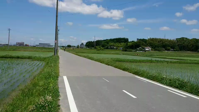 プチポタ！の記事動画