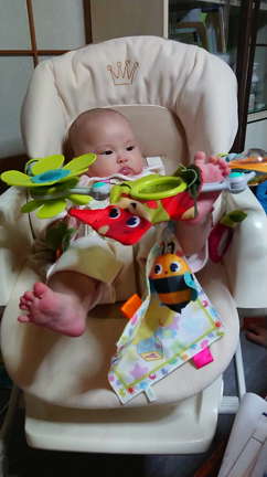 筋トレデビューの記事動画