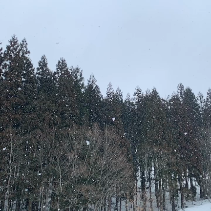 ちょい日焼け進む。の記事動画