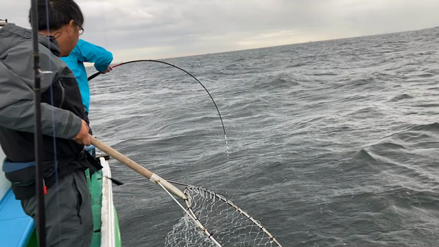 10/17 釣果情報の記事動画