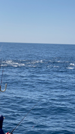 ◇10月3日 キハダキャスト◇の記事動画