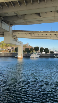 朝のパワーチャージの記事動画