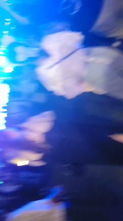 夢の国でも°・*:.。.☆羽生結弦❤の記事動画