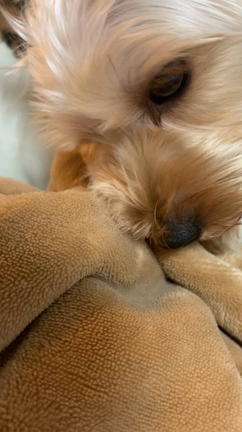 ゴールデンウィークの記事動画