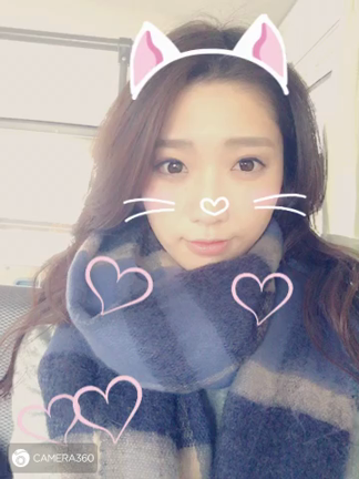 ○猫の日○の記事動画