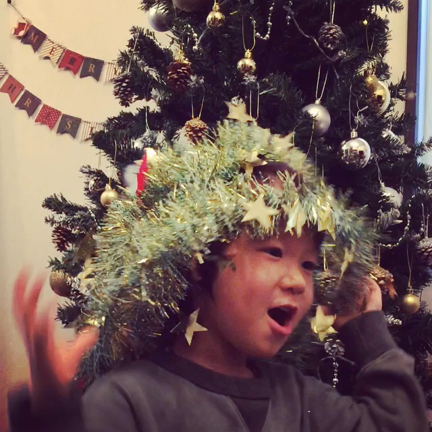 Xmastree...の記事動画