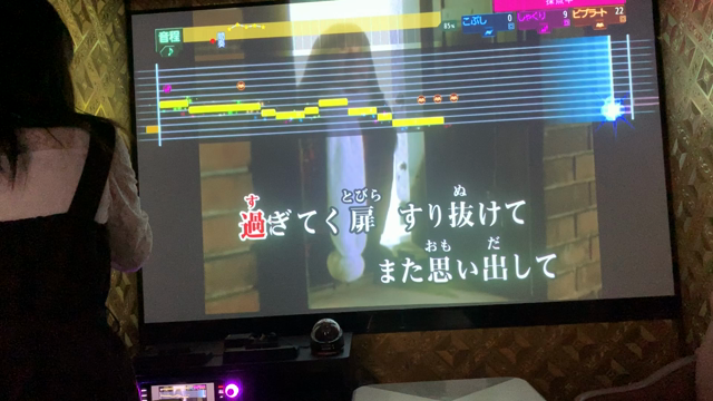 久しぶりにカラオケへの記事動画