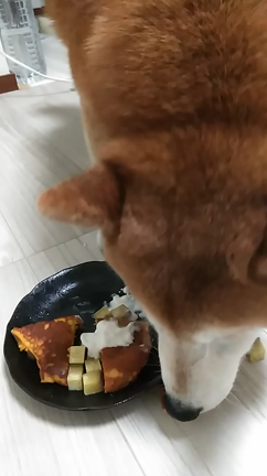 祝♥️14歳の記事動画