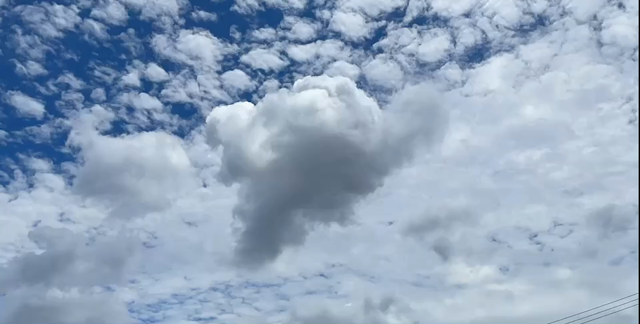 【読者投稿】夏と雨の楽しみの記事動画