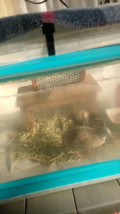 2019年12月の記事動画