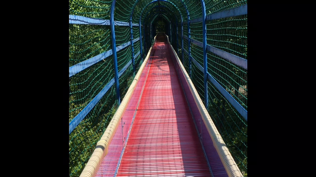 GW6日目！の記事動画