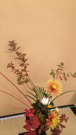 美しい生け花、クリスマスツリー、飴玉パチンコ。の記事動画